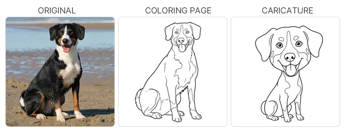 Sample: original photo with its coloring page and caricature